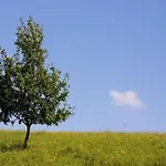 Hochwald Familienhaus Дом отдыха Geisfeld (Rhineland-Palatinate)