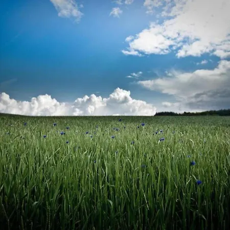 Hochwald Familienhaus *