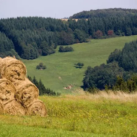 Hochwald Familienhaus *