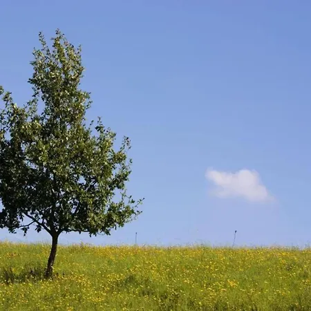 Hochwald Familienhaus בית נופש Geisfeld (Rhineland-Palatinate)