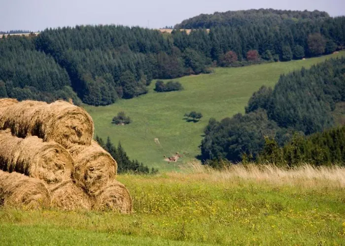 Hochwald Familienhaus *