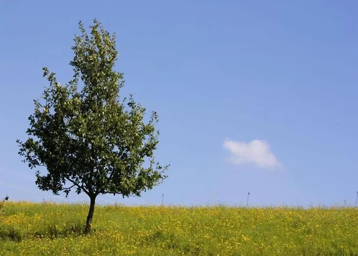 Hochwald Familienhaus 度假居 Geisfeld (Rhineland-Palatinate)