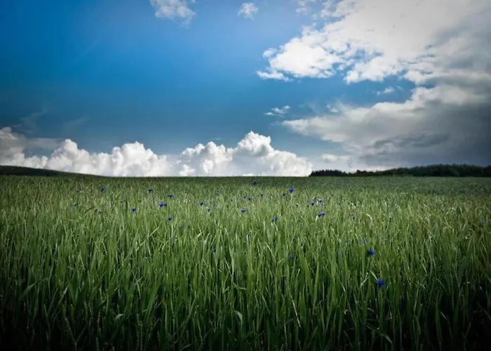 Hochwald Familienhaus * Geisfeld (Rhineland-Palatinate)